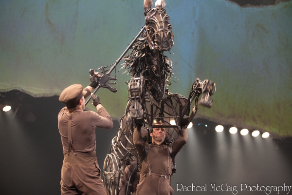 Photo Coverage: WAR HORSE Opens in Toronto - All the Red Carpet Action! 