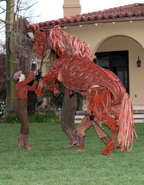 Photo Flash: WAR HORSE at the Ahmanson Home Image