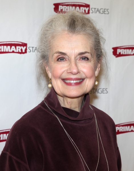 Photo Coverage: Meet the Cast of Primary Stages' THE MORINI STRAD Image