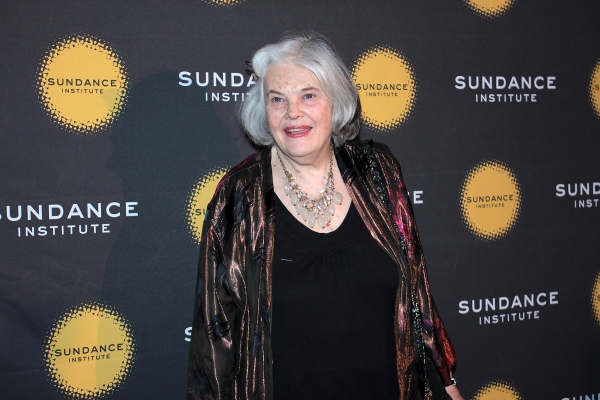 Photo Coverage: Robert Redford, Julie Taymor & More Celebrate Sundance Institute in NYC Image