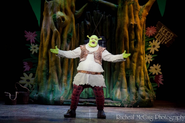 Photo Coverage: The 'Shrekking' Process Image