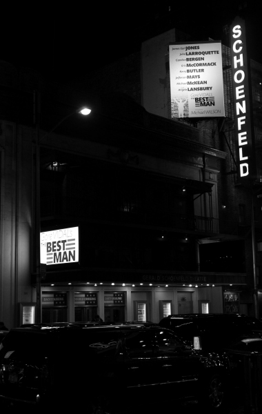 Photo Coverage: Gore Vidal's THE BEST MAN Opening Night Bows Image