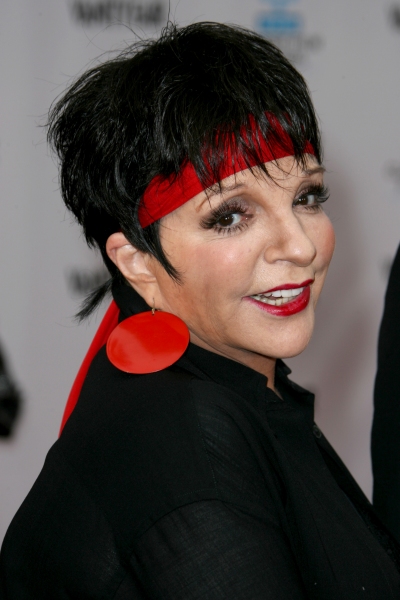 Photo Flash: Liza Minnelli & Co. At The CABARET 40th Anniversary Screening Image