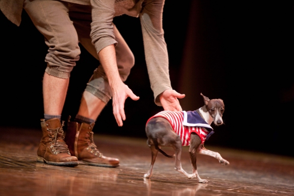 Photo Coverage: BC/EFA Easter Bonnet Competition - Day 1! Image