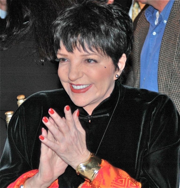 Photo Flash: Liza Minnelli and More at Bay Street's First Annual Honors Benefit Image