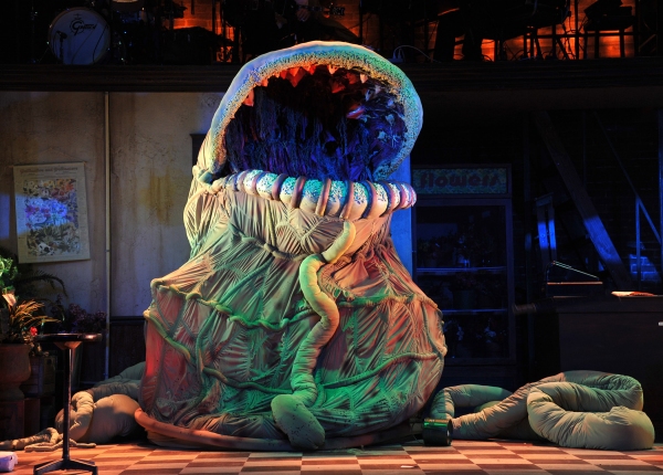 Photo Flash: Kansas City Rep's LITTLE SHOP OF HORRORS Image