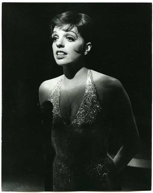 Exclusive InDepth InterView: Liza Minnelli Talks LIVE AT THE WINTER GARDEN, CABARET HD, Lady Gaga & More Image