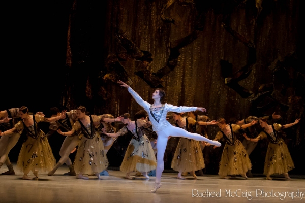 Photo Coverage: Bolshoi Ballet Triumphantly Returns to Toronto 