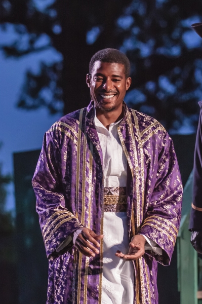 Photo Flash: First Look at Shakespeare Festival's OTHELLO! Image