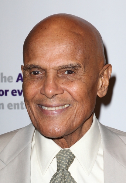 Photo Coverage: The Stars Come Out to Honor Jerry Stiller, Harry Belafonte & More at The Actor's Fund Gala Image