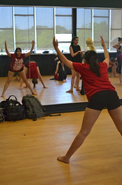 Photo Flash: Dancap and Etobicoke School for the Arts Present WEST SIDE STORY Master Class  Image