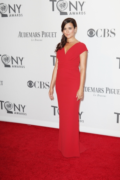 Cote de Pablo  Photo