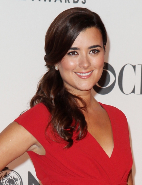 Cote de Pablo Photo