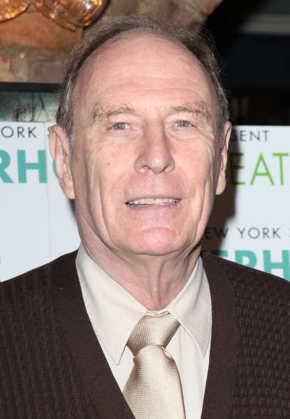 Photo Coverage: New York Stage & Film Celebrates 2012 Launch - Chloe Sevigny & More! Image