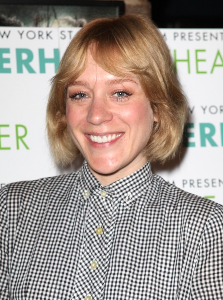 Photo Coverage: New York Stage & Film Celebrates 2012 Launch - Chloe Sevigny & More! Image