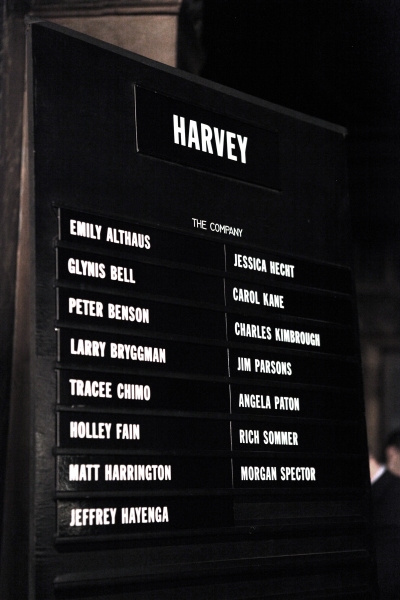 Photo Coverage: Spot the Rabbit! HARVEY Opening Night Curtain Call; Parsons, Hecht, Kane, Kimbrough & More Image