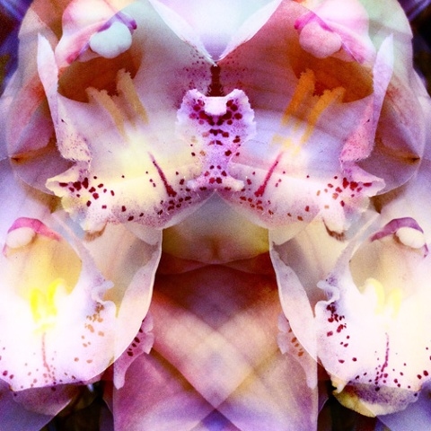 Photo Flash: Preview Luise Ross Gallery's GREAT PHOTOGRAPHS!, 6/28-8/10 Image