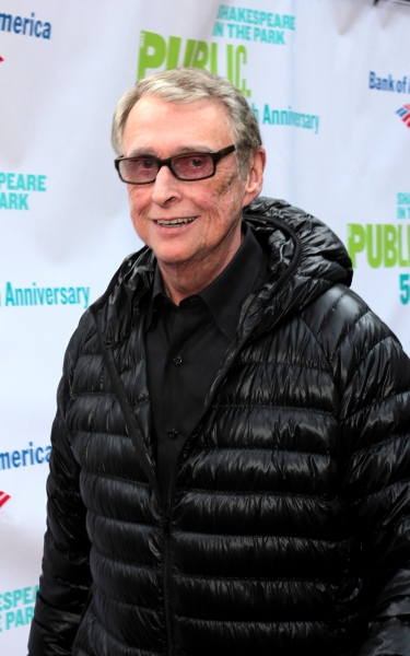 Photo Coverage: The Public Theater Celebrates 50 Years at the Delacorte & Honors Al Pacino Image