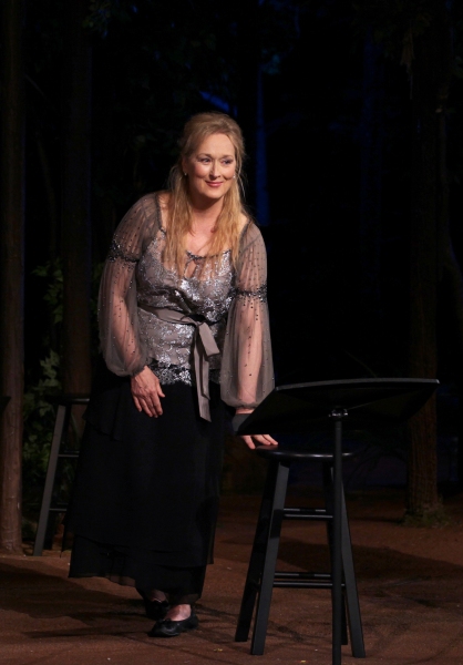 Photo Coverage: Meryl Streep, Kevin Kline & Co. in ROMEO & JULIET Curtain Call in Central Park Image