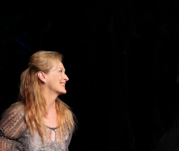 Photo Coverage: Meryl Streep, Kevin Kline & Co. in ROMEO & JULIET Curtain Call in Central Park Image
