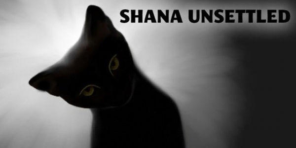 Photo Flash: First Look at Fells Point Corner Theatre's SHANA UNSETTLED Image
