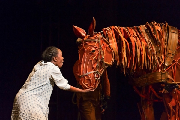 Photo Flash: More from WAR HORSE National Tour, Opening in L.A. June 29!  Image