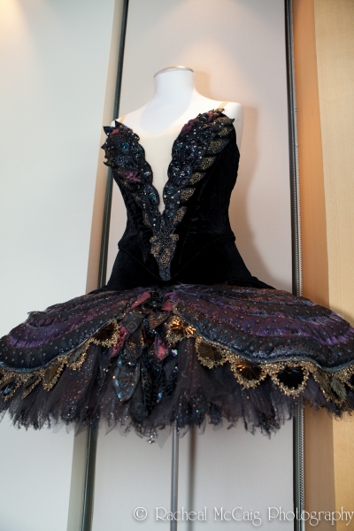 Photo Flash: The National Ballet Celebrates Its Diamond Anniversary  Image