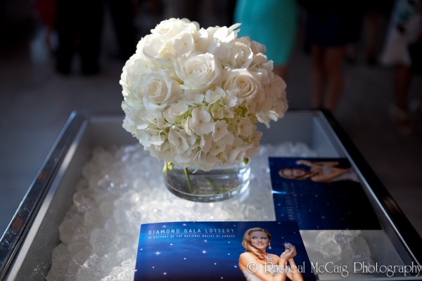 Photo Flash: The National Ballet Celebrates Its Diamond Anniversary  Image