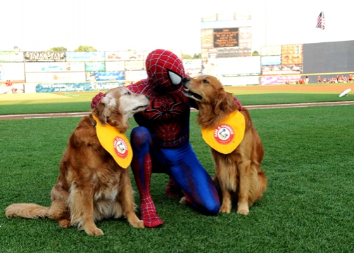 Photo Flash: SPIDER-MAN Throws First Pitch for Trenton Thunder Image