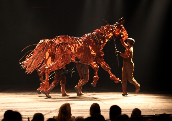 Photo Flash: The Stars Walk the Red Carpet for WAR HORSE Opening Night in LA!  Image