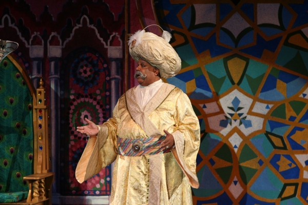 Photo Coverage: Opening Night of Muny's ALADDIN! Robin De Jesus, John Tartaglia, Samantha Massell & More!  Image