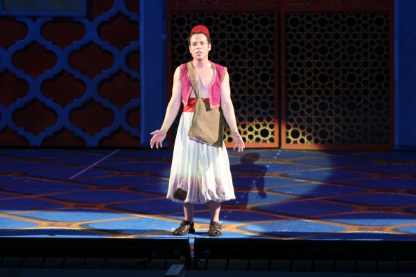 Photo Coverage: Opening Night of Muny's ALADDIN! Robin De Jesus, John Tartaglia, Samantha Massell & More!  Image