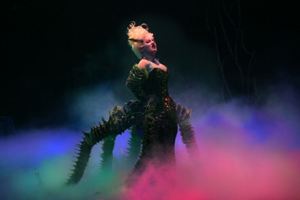 Photo Flash: Complete Look at Jessica Grové and More in Music Circus' THE LITTLE MERMAID Image
