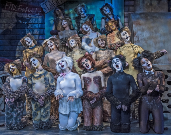 Photo Flash: First Look at Emily Brockway and More in CRT's CATS 