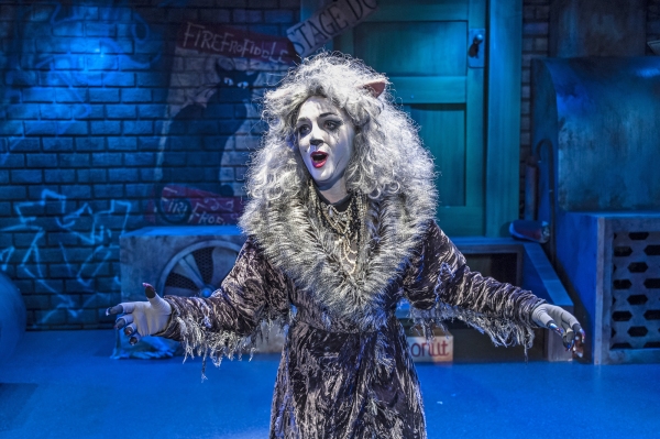 Photo Flash: First Look at Emily Brockway and More in CRT's CATS 