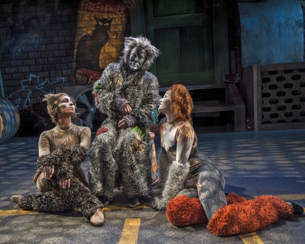 Photo Flash: First Look at Emily Brockway and More in CRT's CATS 