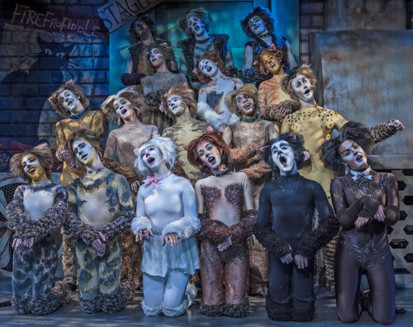 Photo Flash: Cortland Repertory Theatre's CATS Opens Tonight, 7/11 Image