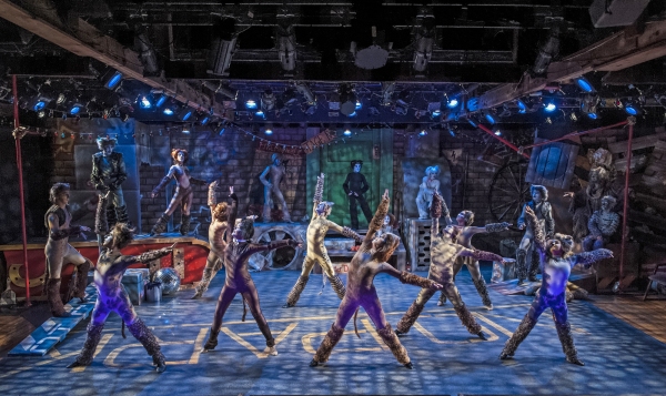 Photo Flash: Cortland Repertory Theatre's CATS Opens Tonight, 7/11 Image