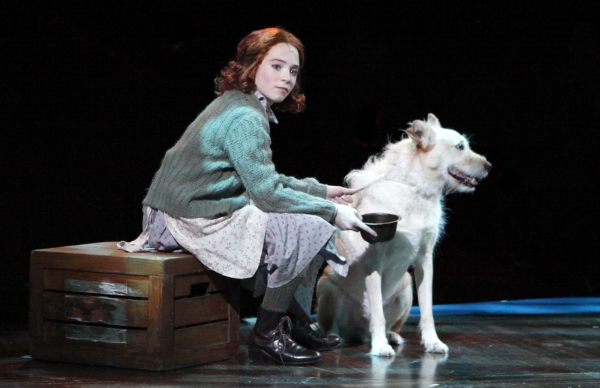 Photo Flash: First Look at Lauren Weintraub, Jacquelyn Piro Donovan and More in NSMT's ANNIE Image