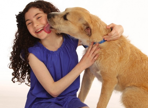 Photo Flash: Meet ANNIE's 'Sandy,' Shelter Dog Sunny! Image