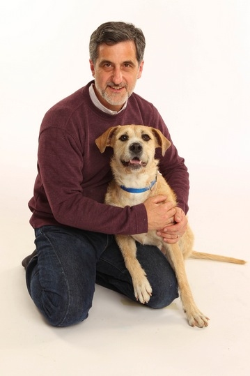 Photo Flash: Meet ANNIE's 'Sandy,' Shelter Dog Sunny! Image