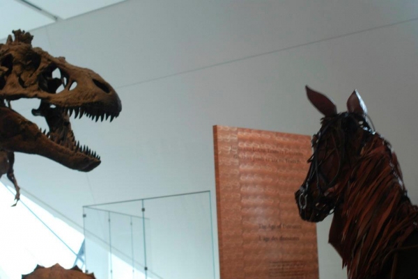 Photo Flash: WAR HORSE's Joey and Topthorn Hit the Streets of Toronto Image
