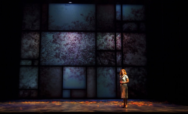 Photo Flash: First Look at Kelli O'Hara, Tony Yazbeck and More in WTF's FAR FROM HEAVEN Image