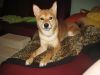 Joop Profile Photo