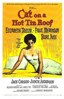 Cat On a Hot Tin Roof Video
