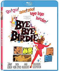 Bye Bye Birdie Cover
